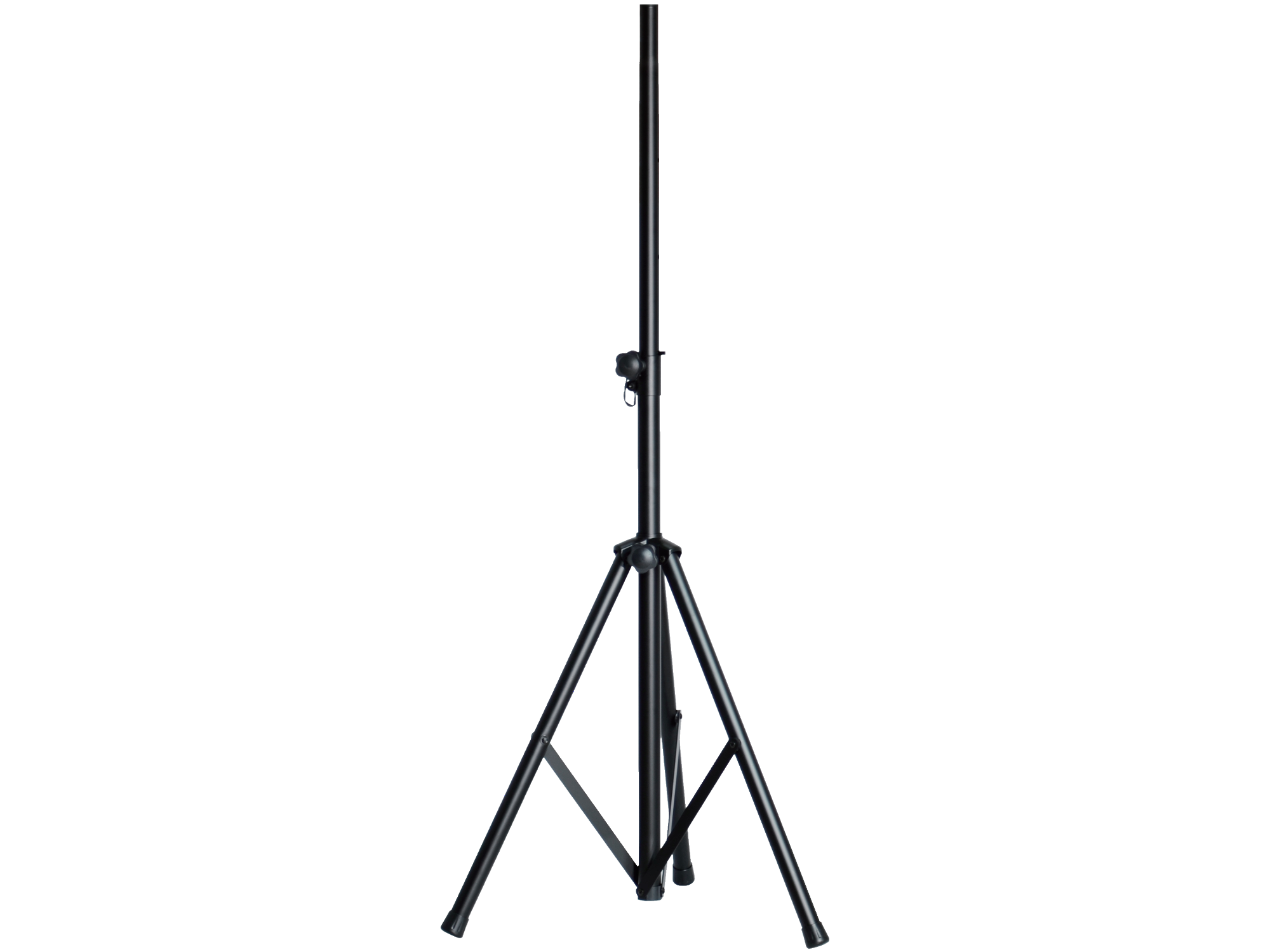 transparent-Photoroom SP-263 – תמונה 1